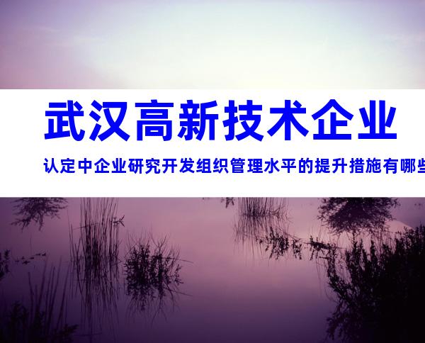武汉高新技术企业认定中企业研究开发组织管理水平的提升措施有哪些？