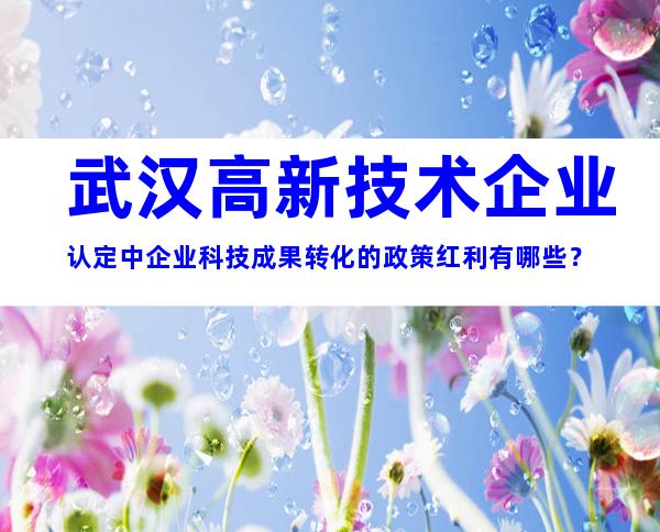 武汉高新技术企业认定中企业科技成果转化的政策红利有哪些？