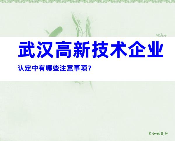 武汉高新技术企业认定中有哪些注意事项？