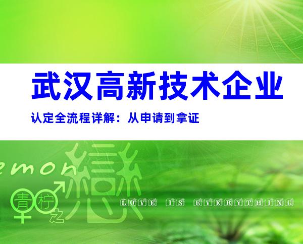 武汉高新技术企业认定全流程详解：从申请到拿证