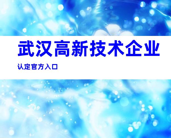 武汉高新技术企业认定官方入口