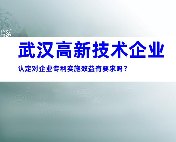 武汉高新技术企业认定对企业专利实施效益有要求吗？