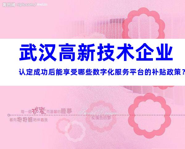 武汉高新技术企业认定成功后能享受哪些数字化服务平台的补贴政策？