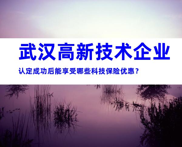 武汉高新技术企业认定成功后能享受哪些科技保险优惠？