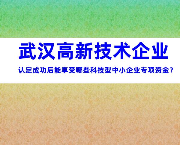 武汉高新技术企业认定成功后能享受哪些科技型中小企业专项资金？