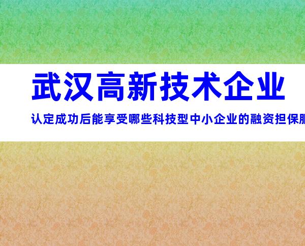 武汉高新技术企业认定成功后能享受哪些科技型中小企业的融资担保服务？