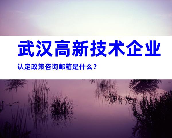 武汉高新技术企业认定政策咨询邮箱是什么？