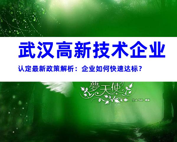 武汉高新技术企业认定最新政策解析：企业如何快速达标？