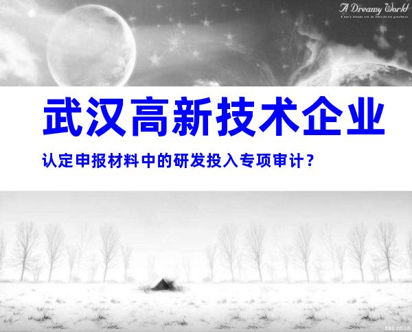 武汉高新技术企业认定申报材料中的研发投入专项审计？