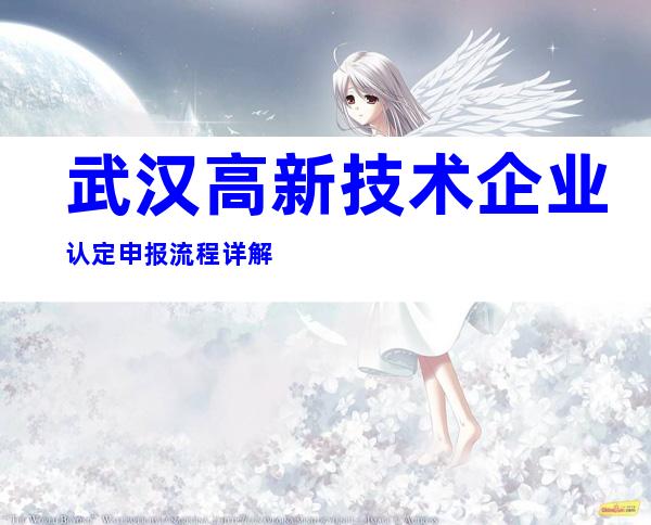 武汉高新技术企业认定申报流程详解