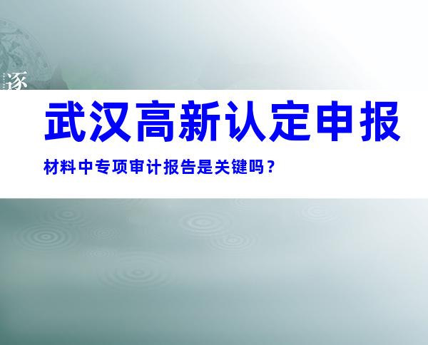 武汉高新认定申报材料中专项审计报告是关键吗？