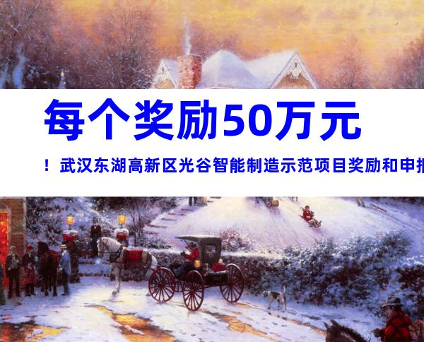 每个奖励50万元！武汉东湖高新区光谷智能制造示范项目奖励和申报材料条件汇总