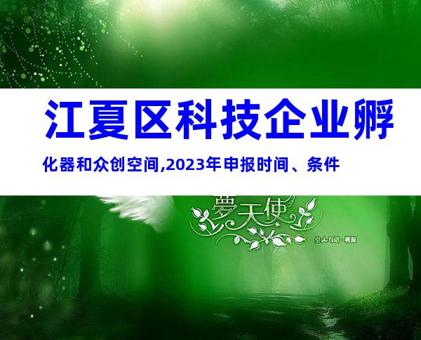 江夏区科技企业孵化器和众创空间,2023年申报时间、条件