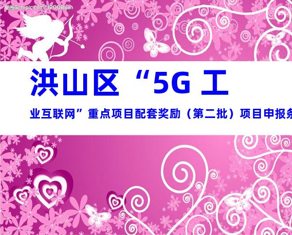 洪山区“5G+工业互联网”重点项目配套奖励（第二批）项目申报条件、奖励