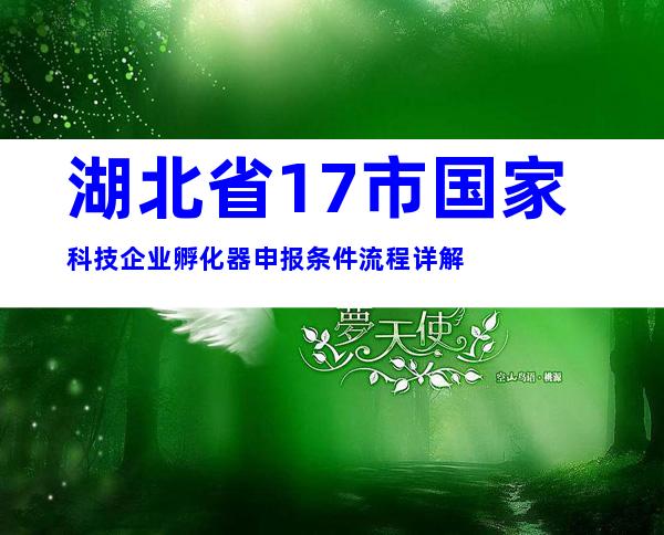 湖北省17市国家科技企业孵化器申报条件流程详解