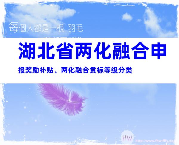 湖北省两化融合申报奖励补贴、两化融合贯标等级分类