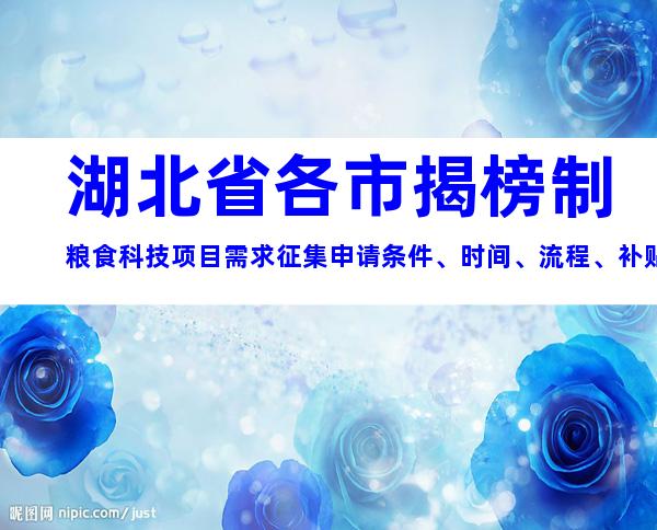 湖北省各市揭榜制粮食科技项目需求征集申请条件、时间、流程、补贴指南