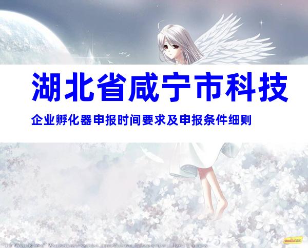 湖北省咸宁市科技企业孵化器申报时间要求及申报条件细则