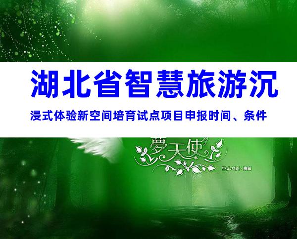 湖北省智慧旅游沉浸式体验新空间培育试点项目申报时间、条件