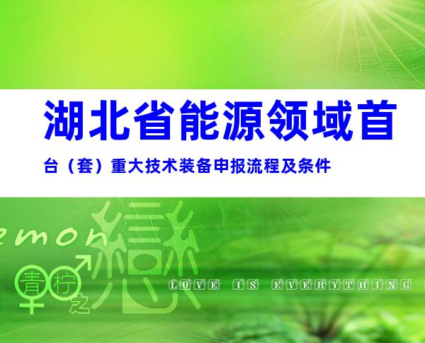 湖北省能源领域首台（套）重大技术装备申报流程及条件