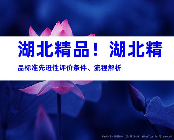 湖北精品！湖北精品标准先进性评价条件、流程解析