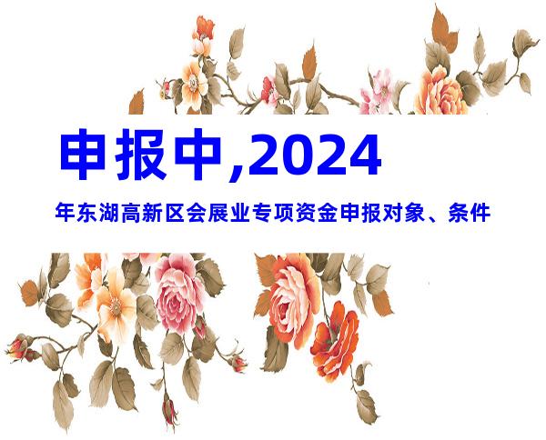 申报中,2024年东湖高新区会展业专项资金申报对象、条件