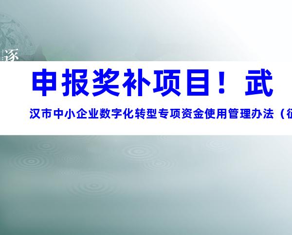 申报奖补项目！武汉市中小企业数字化转型专项资金使用管理办法（征求意见稿）解读