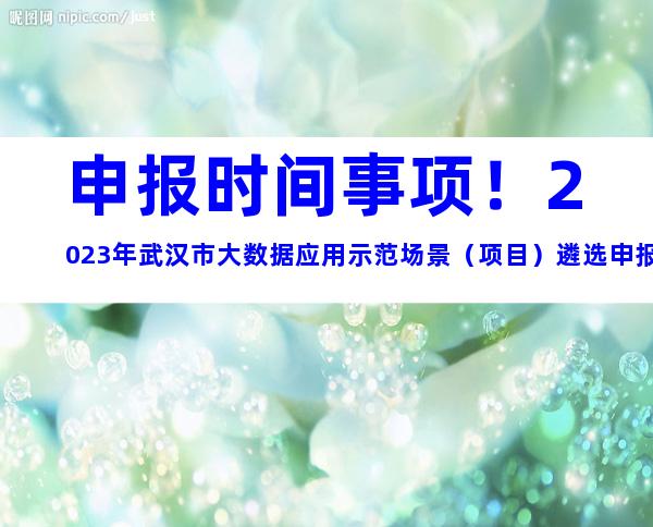 申报时间事项！2023年武汉市大数据应用示范场景（项目）遴选申报条件要求