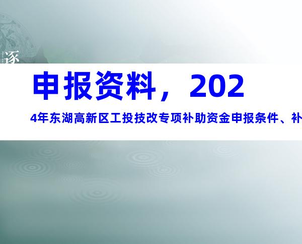 申报资料，2024年东湖高新区工投技改专项补助资金申报条件、补助标准