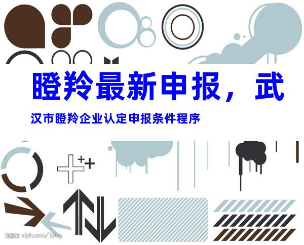 瞪羚最新申报，武汉市瞪羚企业认定申报条件程序