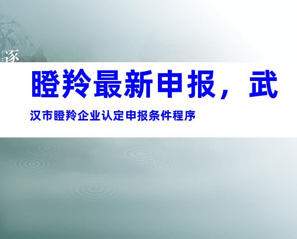 瞪羚最新申报，武汉市瞪羚企业认定申报条件程序