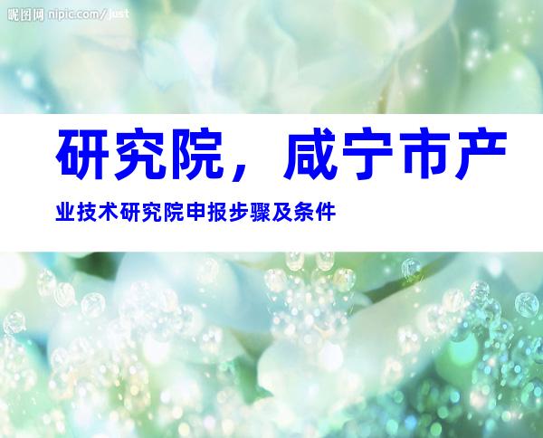 研究院，咸宁市产业技术研究院申报步骤及条件