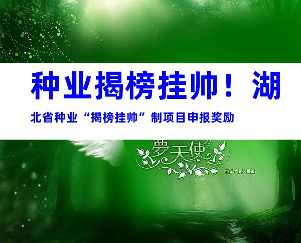 种业揭榜挂帅！湖北省种业“揭榜挂帅”制项目申报奖励