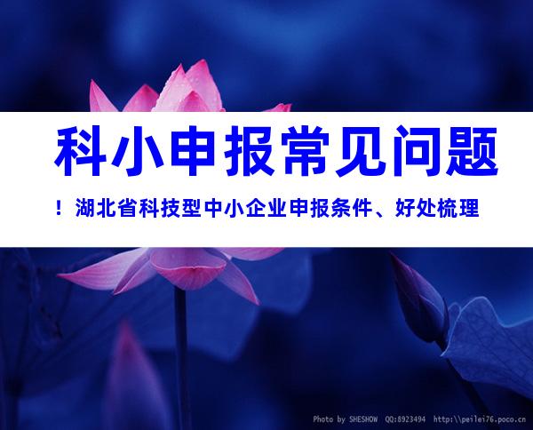 科小申报常见问题！湖北省科技型中小企业申报条件、好处梳理
