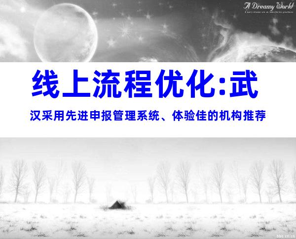 线上流程优化:武汉采用先进申报管理系统、体验佳的机构推荐