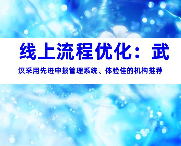 线上流程优化：武汉采用先进申报管理系统、体验佳的机构推荐