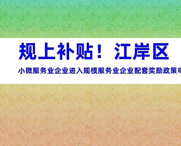 规上补贴！江岸区小微服务业企业进入规模服务业企业配套奖励政策申请流程条件指南