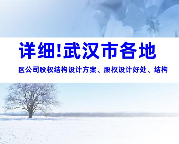 详细!武汉市各地区公司股权结构设计方案、股权设计好处、结构