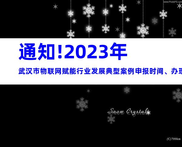 通知!2023年武汉市物联网赋能行业发展典型案例申报时间、办理流程