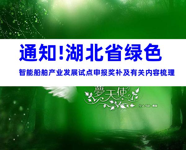 通知!湖北省绿色智能船舶产业发展试点申报奖补及有关内容梳理