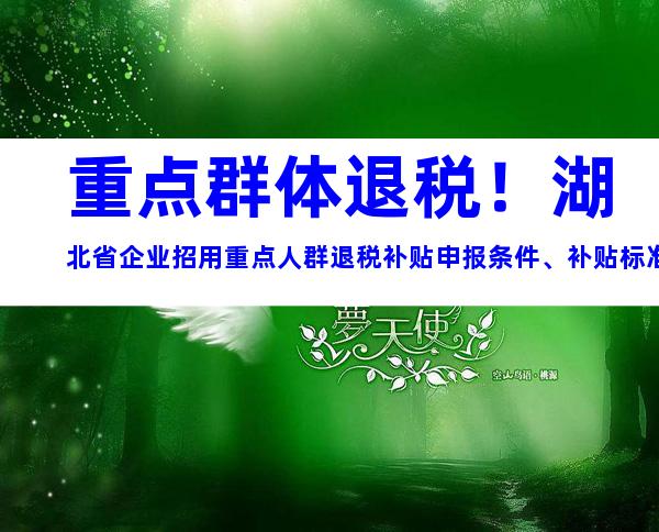 重点群体退税！湖北省企业招用重点人群退税补贴申报条件、补贴标准