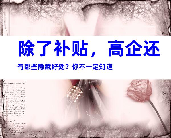 除了补贴，高企还有哪些隐藏好处？你不一定知道