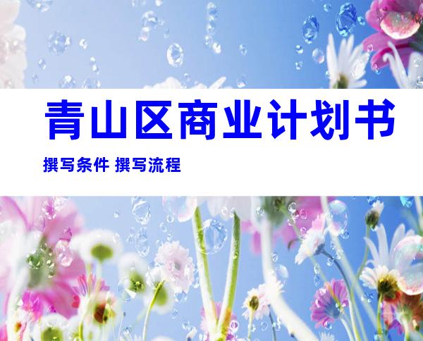青山区商业计划书撰写条件+撰写流程