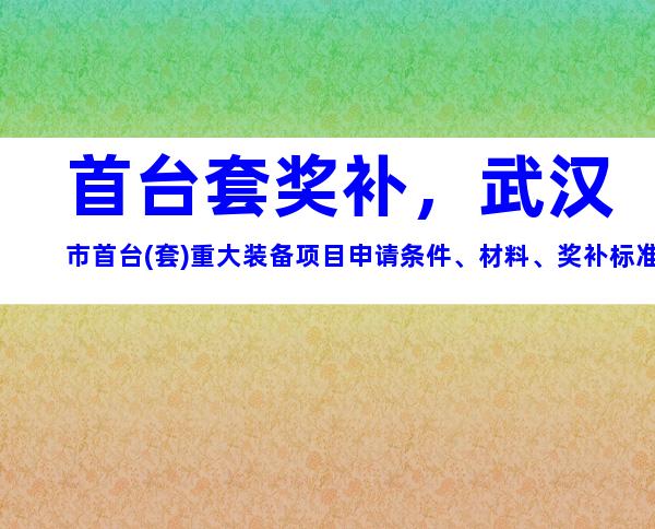 首台套奖补，武汉市首台(套)重大装备项目申请条件、材料、奖补标准合集