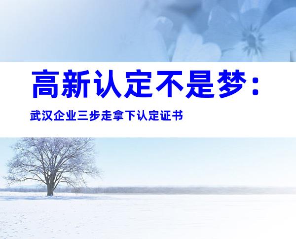 高新认定不是梦：武汉企业三步走拿下认定证书