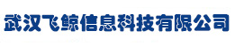 武汉飞鲸信息科技有限公司